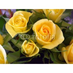 Obraz żółte róże jako bukiet na wiosnę