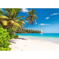 Fototapeta Piaszczysta plaża z palmami i żaglówką w turkusowym morzu na rajskiej wyspie.