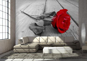 fototapeta czerwona róża czarno-białe zdjęcie